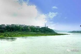 武胜最新爆料新闻